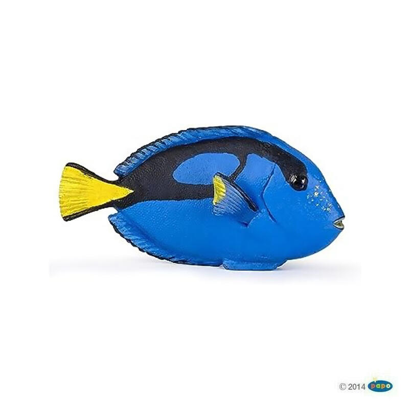 【Good Toy】法國 PAPO 56024 海洋生物 刺尾魚 Surgeonfish