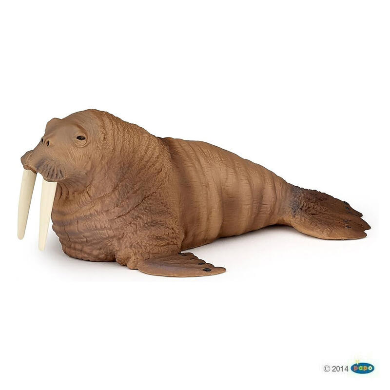 【Good Toy】法國 PAPO 56014 海洋生物 海象 Walrus