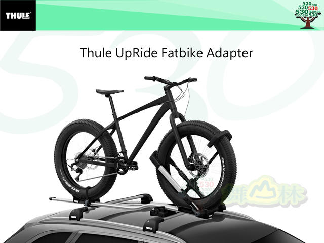 Thule 5991 UpRide Fatbike Adapter 3~5吋胖胎雪胎車(後輪座)