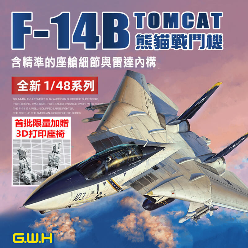 長城 1/48 F-14B 熊貓戰機 TOMCAT GWH 塑膠組裝模型 3D列印座椅 L4828