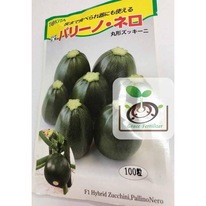 [禾康肥料] 日本圓形綠色櫛瓜種子 / 100粒 日本原裝