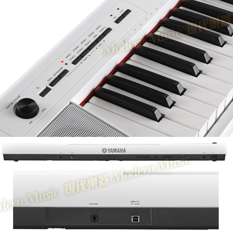 現代樂器】免運！日本山葉YAMAHA NP-32 白色款76鍵輕型鍵盤仿鋼琴鍵