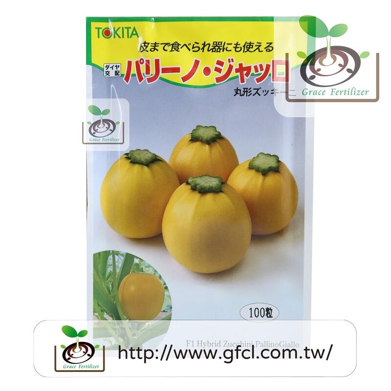 [禾康肥料] 日本圓形黃色櫛瓜種子 / 100粒 日本原裝