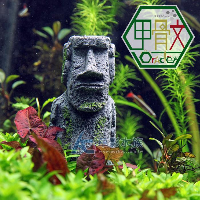 【AC草影】 Oracle 甲骨文 復活島巨人摩艾-巨人（12cm）【一個】復活島Moai