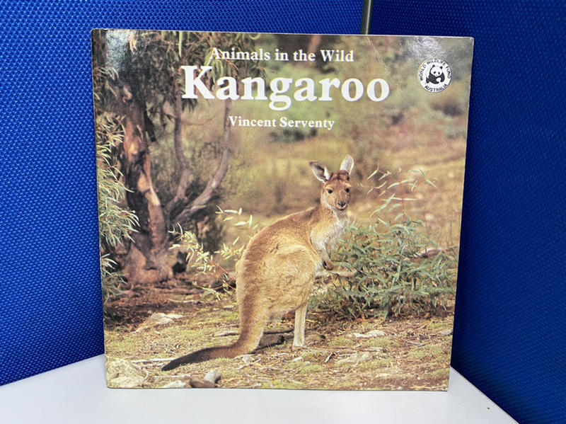 【原文書】幼教 澳洲動物 Kangaroo & Kookaburra 一套二冊