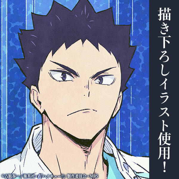 蓮陽パパ商品　10.11購入