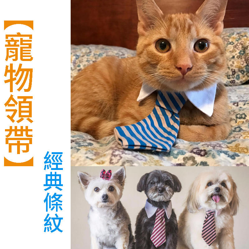 現貨 寵物領帶 貓狗領帶 寵物服飾配件 貓狗飾品 寵物用品 寵物配件