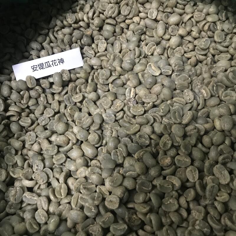 〈琴咖啡〉生豆 ● 中南美洲產區 ● 花神 / 薇薇特南果 / 巴西山多士 / 哥倫比亞美德林