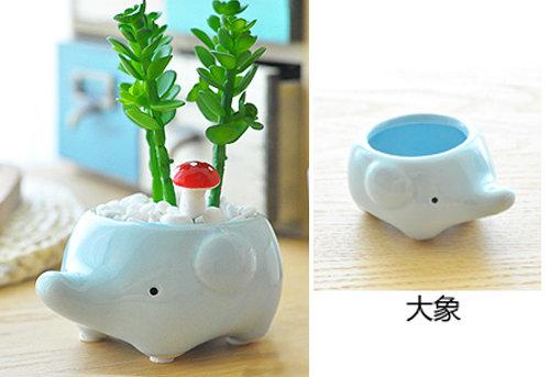 世藏茶酩 創意可愛 桌面 盆栽 小花盆 陶瓷 花器 動物款 大象