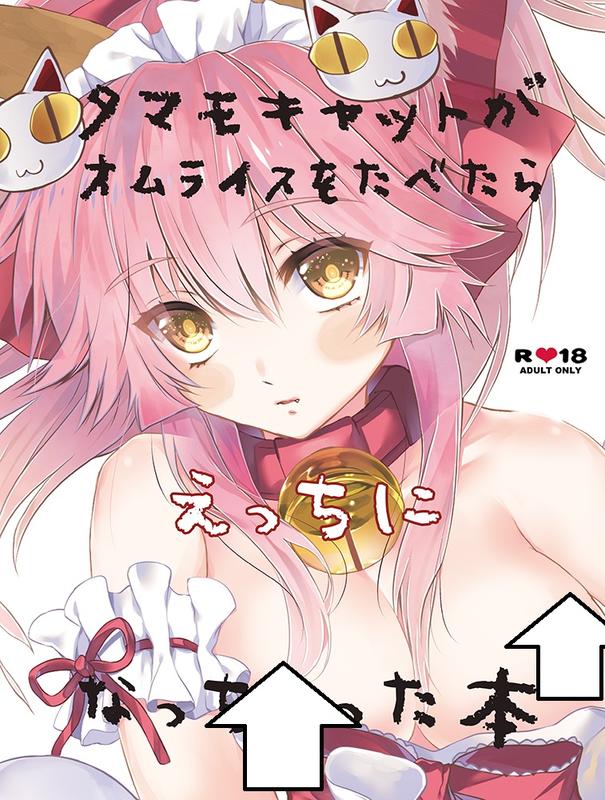 GCMZ3 TAKOLEGS QQQQ FGO - 同人誌