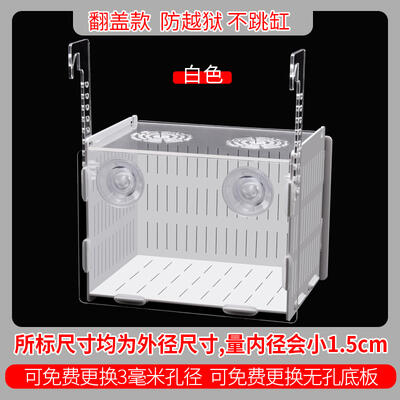 大希水族~吸盤掛式兩用壓克力隔離盒20x15x15cm、白/黑色 拍照盒、繁殖盒、隔離盒