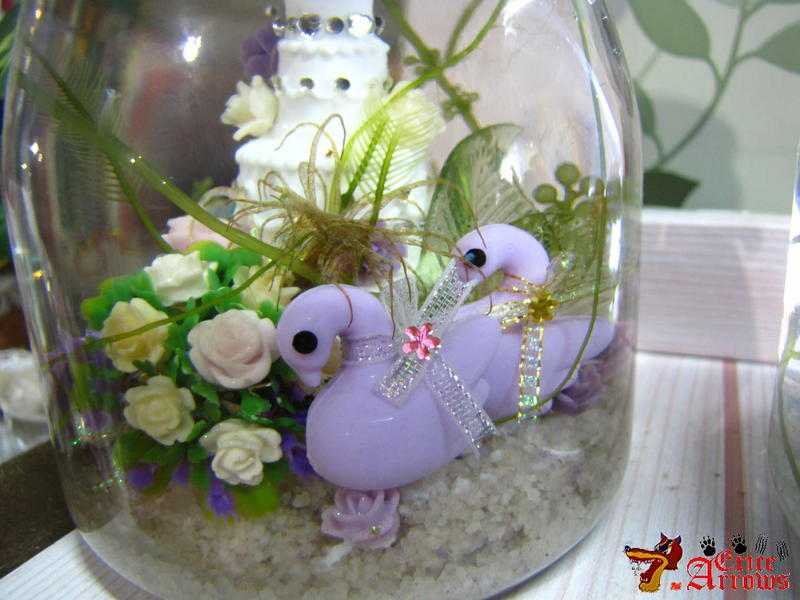海景瓶----天鵝花園+ 海葡萄+羽毛藻