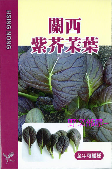 【野菜部屋~中包裝】H23 關西紫芥茉菜種子25公克 , 花和莖 , 葉皆可食用, 略帶芥茉味 ,每包170元~
