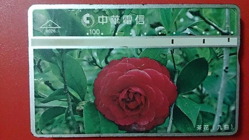 中華電信光學卡8026茶花九曲壹張。使用完無餘額。