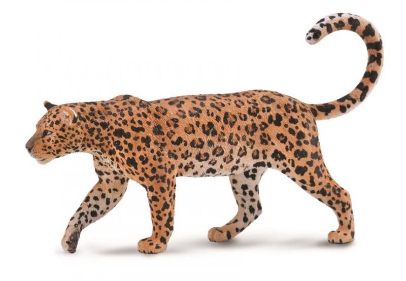 【阿LIN】88866A 全新正版COLLECTA 動物模型玩具 迷你非洲豹
