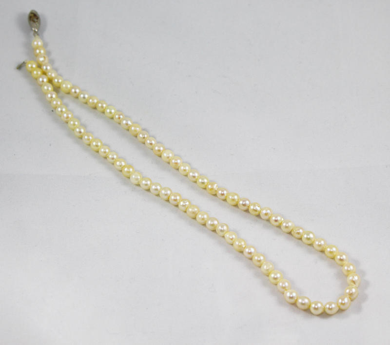 珍珠項鍊 淡水珠 香檳金色 珠徑尺寸5mm