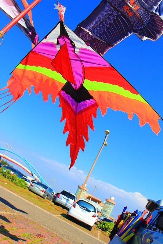 【風箏小舖】火鳥 風箏-玻璃纖維 骨架 平紋布 造型風箏