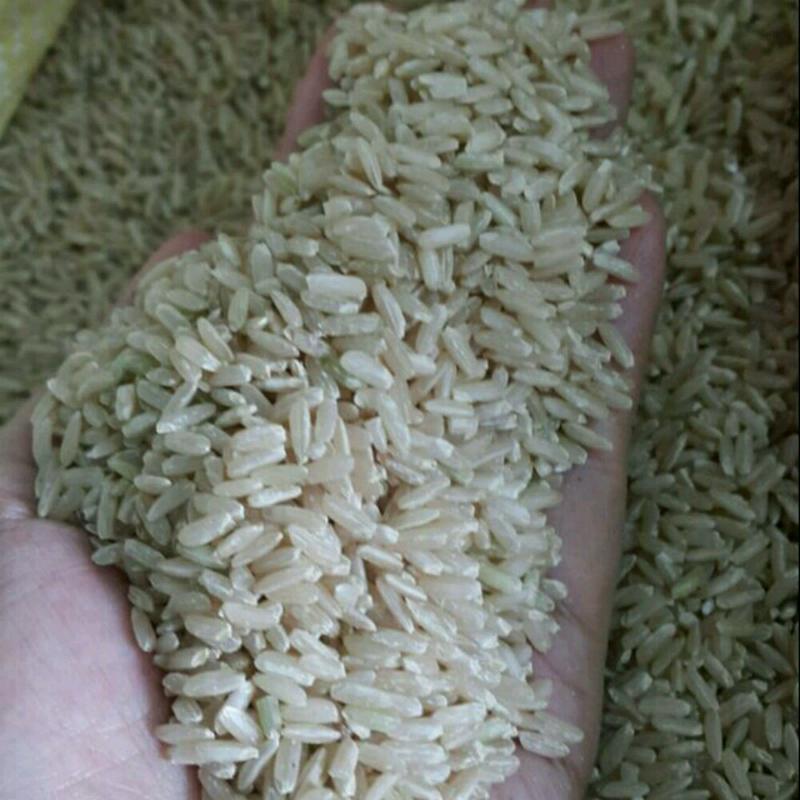 嚴選台東糙米 (長)再來糙米 (圓)蓬萊糙米 600g裝