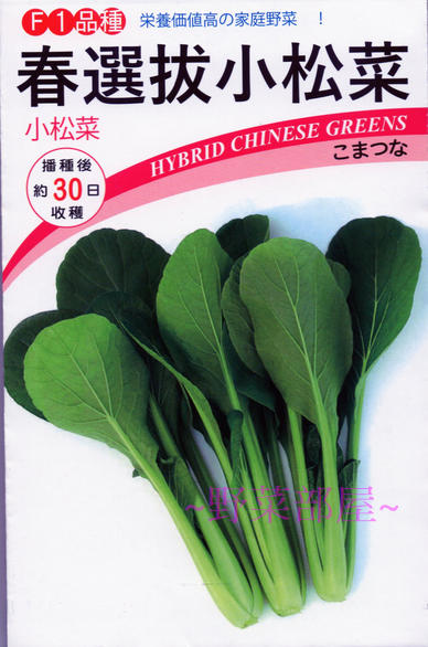 【野菜部屋~】E62 春選抜小松菜種子3兩日本原包裝 , 耐高溫 , 耐寒 , 耐乾燥 ,每包400元~