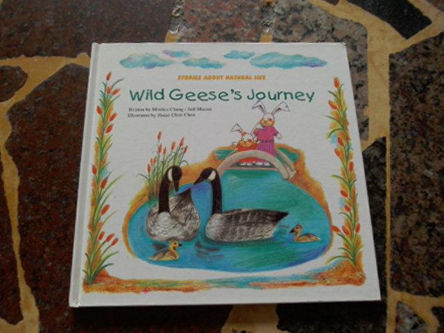 【知識通F31B】Wild Geese's Journey      Step By Step