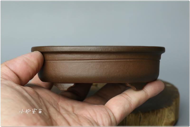 【小樹安每】日本盆缽- [張氏製陶] 紫泥上帶橢圓鉢 11cm