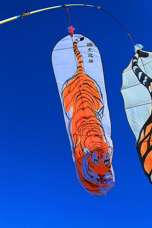 【風箏小舖】老虎 風箏-玻璃纖維 骨架 平紋布 造型風箏