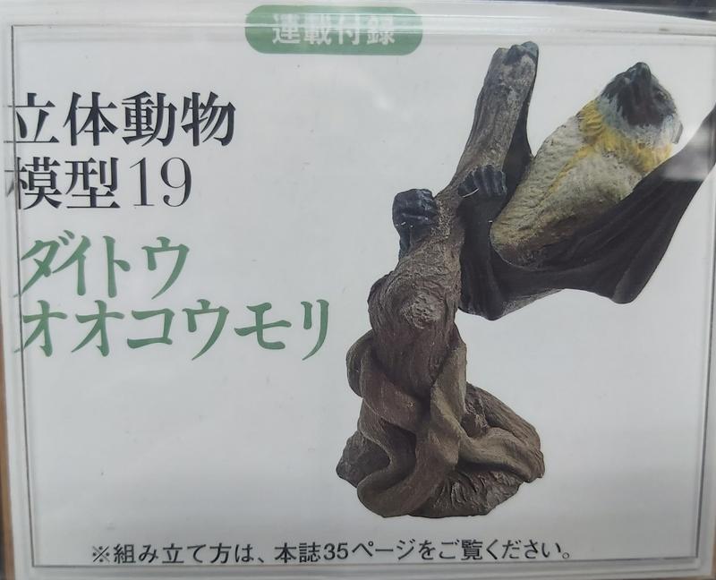 日本天然紀念物 - 圖鑑19 - 果子蝙蝠