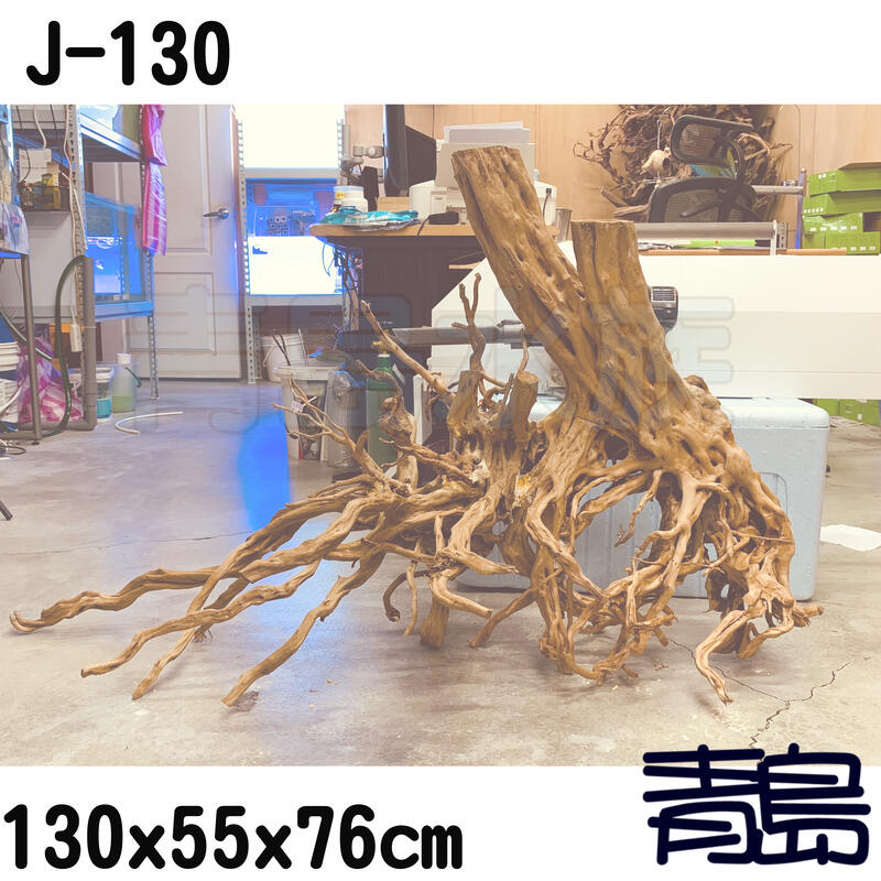 五1中0新0↓。青島水族。J-130煙燻沉木黃金流木莫絲莫斯默思青龍石造景