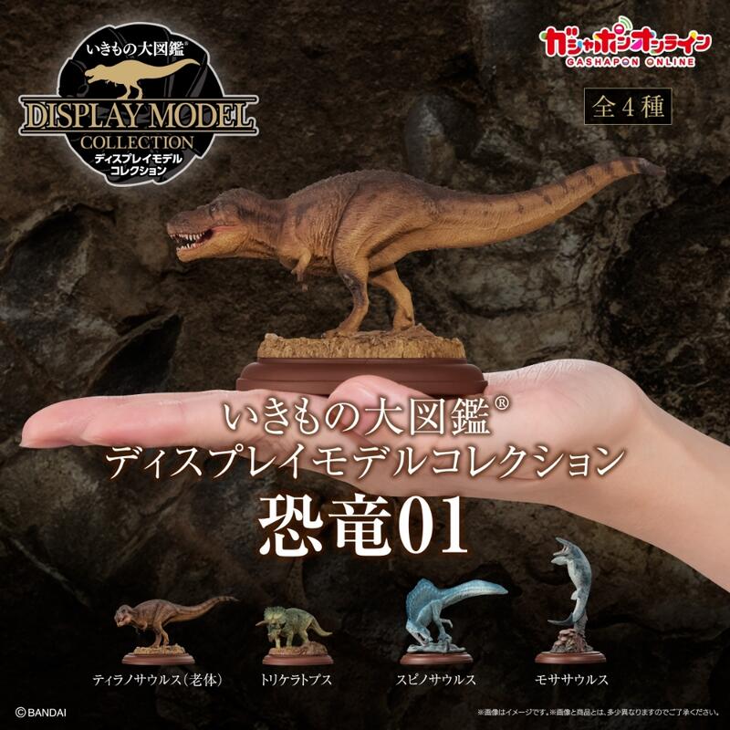 Bandai Premium 萬代日版魂商 生物大圖鑑Display Model展示造型系列 恐龍01 合售大全套共4隻