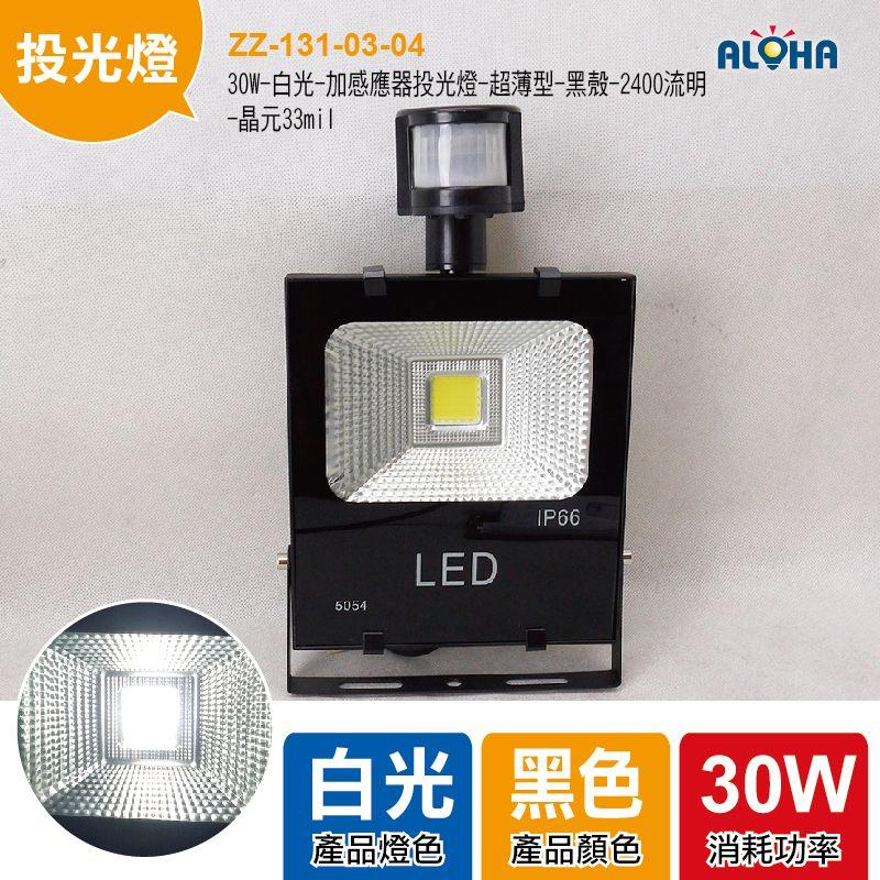 LED大功率投光燈【ZZ-131-03-04】30W-七彩搖控-投光燈-超薄型-黑殼-光宏-全電壓