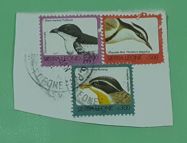 舊票 ~ 獅子山 Sierra Leone 鳥類 郵票 ~ 直購價 NT 30