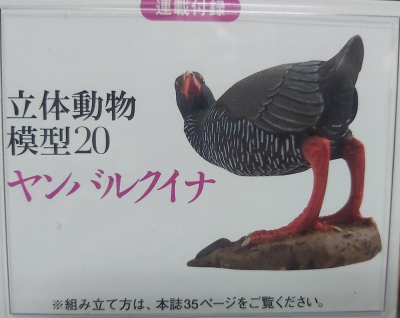 日本天然紀念物 - 圖鑑20 - 水鳥