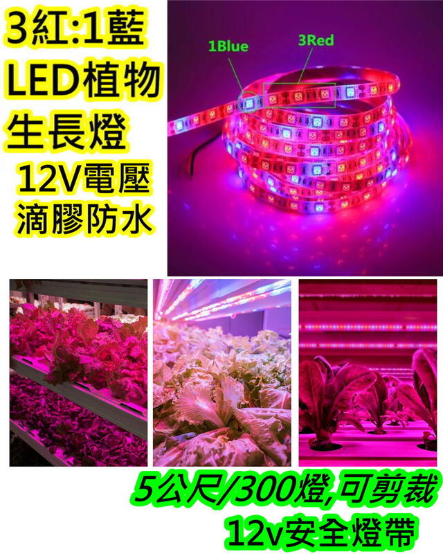300顆燈 5公尺3紅1藍 LED植物生長燈【沛紜小鋪】LED植物燈 LED園藝燈 LED植物補光燈 LED軟條燈帶