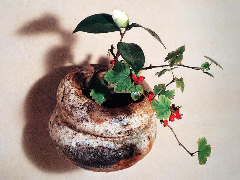 世界文化社　山藤宗山　侘びの茶花 世界文化社 山藤宗山 侘びの茶花 世界文化社山藤宗山侘び