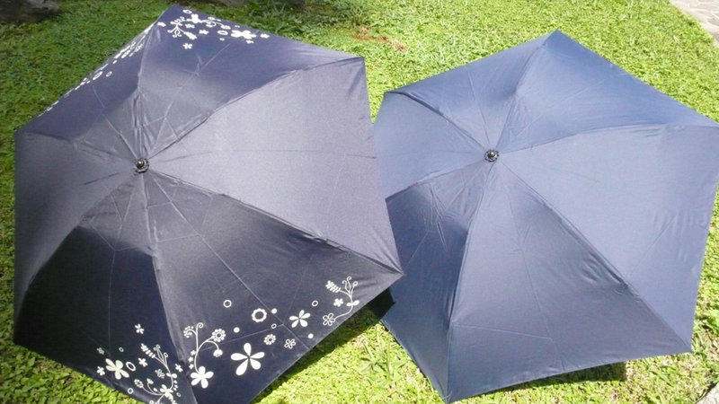 Shine 超輕傘 / 碳纖維傘骨 / 透明抗UV傘布 / 學童攜帶無負擔 /  與Leighton萊登傘同材質