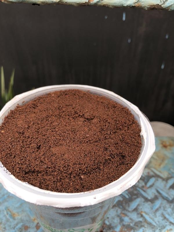 (有現貨)天然有機 新鮮咖啡渣 清潔好幫手 去角質 除溼  除臭包 除濕劑 肥料 防臭土壤肥料清潔 1kg/1000g