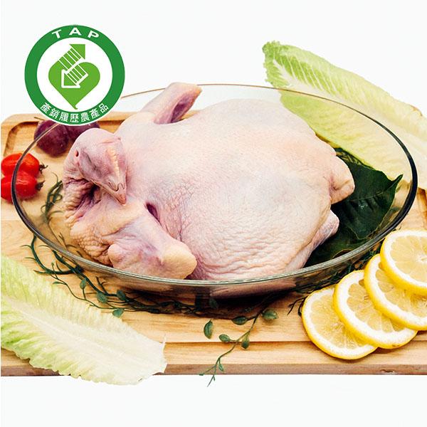 生鮮雞肉 - 安心雞-全雞（1.6kg） - 美夢成真GCI