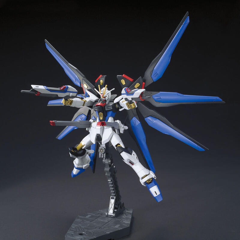 【鋼普拉】現貨 BANDAI 鋼彈 HG 1/144 #201 STRIKE FREEDOM GUNDAM 攻擊自由鋼彈