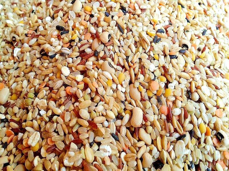 ｛豐｝糧行  黃金比例十三穀米(1300公克）