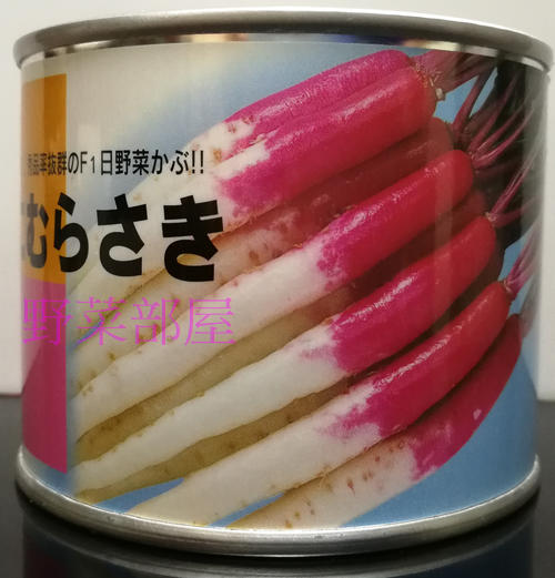 【野菜部屋~中包裝】I41 日本紅白長型無菁種子3公克(約1100粒) ,F1品種 , 肉質細密 ,每包160元 ~
