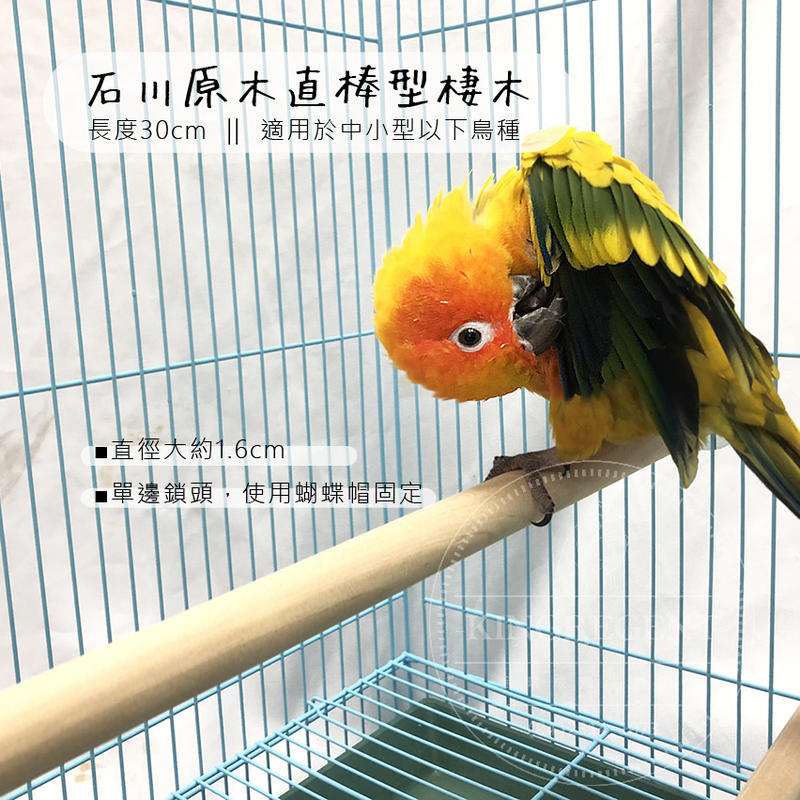 LOVEBIRD->直棒型棲木/台灣製/移動性佳/適合小型鸚鵡
