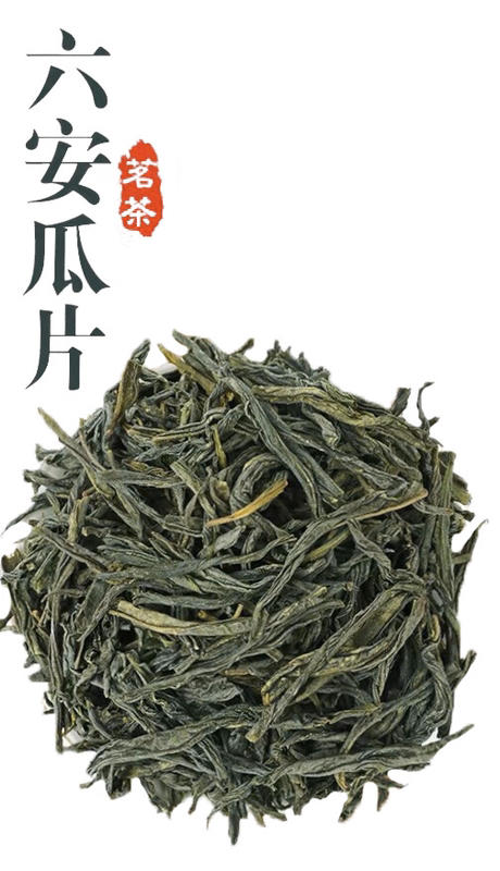 【正規賣場附發票】六安瓜片 特級茶葉濃香型綠茶春茶100g/瓶