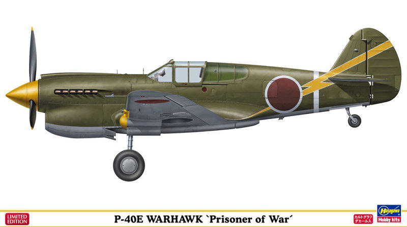 HASEGAWA 長谷川模型 SP304 美國陸軍 P-40E 戰鷹戰鬥機 1/48