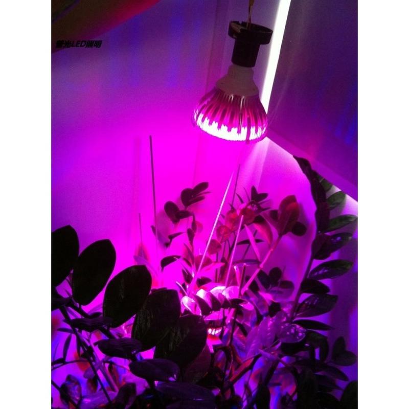 ◤AMO LED◢7W聚光型植物燈多肉 花卉 溫室 蔬菜 蘭花 LED植物生長補光燈