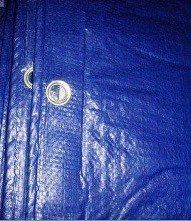 廠家直銷 雨蓬布/防雨布/防水布/藍色布/汽車篷布 平方米價