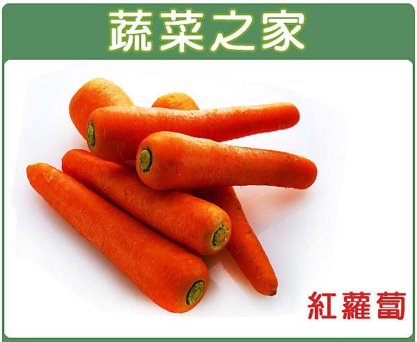 【蔬菜之家滿額免運】C01.紅蘿蔔種子5.2克(約3000顆)(日本進口黑田五吋.甜度高.適生鮮用.不宜長時冷藏。)