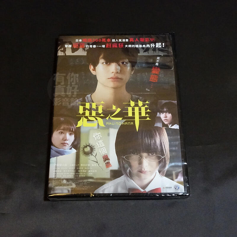 全新日影《惡之華》DVD 伊藤健太郎玉城蒂娜秋田汐梨飯豐萬理江井口昇