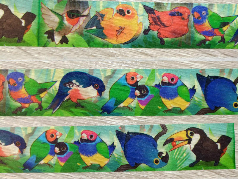 鳥文創│和紙膠帶分裝 熱帶雨林鳥│ErA BirdArt│蜂鳥、吸蜜鸚鵡、金太陽、大嘴鳥、胡錦鳥、藍紫金剛鸚鵡