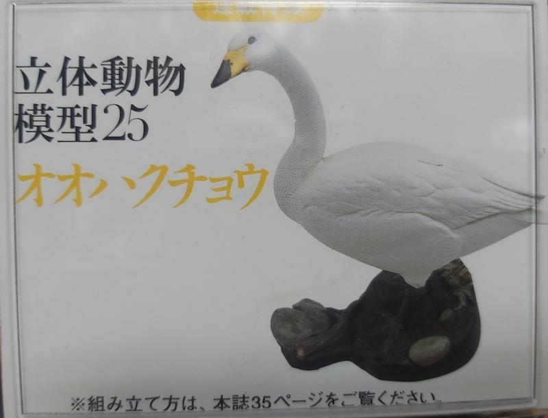 日本天然紀念物 - 圖鑑25 - 白鵝