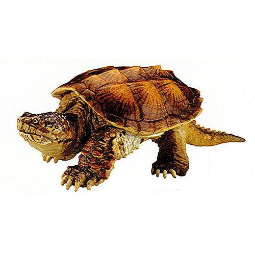 ❤里昂玩具部❤日版 全新 海洋堂 轉蛋 日本動物 別卷 EX 外來生物 單售 擬鱷龜（烏龜） 日本的動物